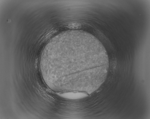 X0000085070652200703261233