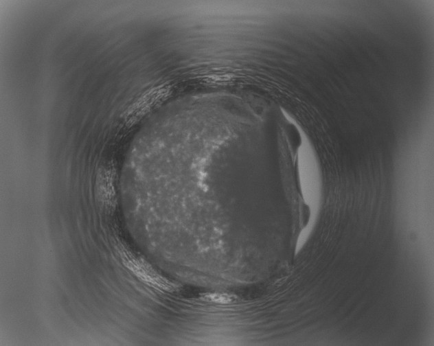 X0000085070654200703261233