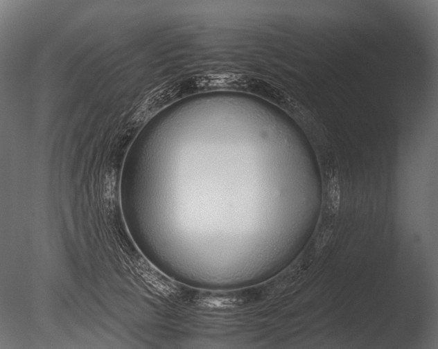 X0000085070657200703261233