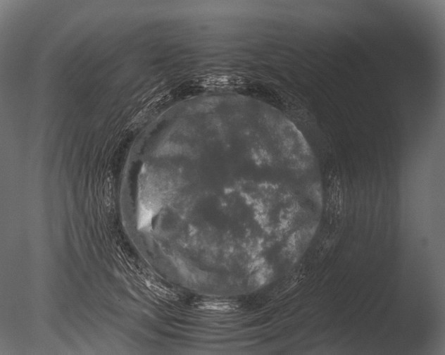 X0000085070659200703261233