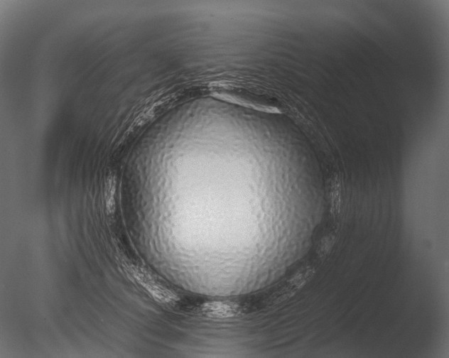 X0000085070660200703261233