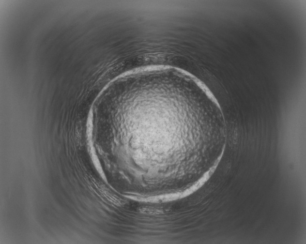 X0000085070661200703261233