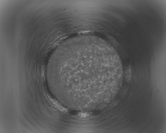 X0000085070662200703261233