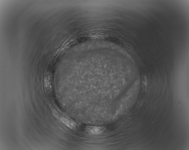 X0000085070663200703261233