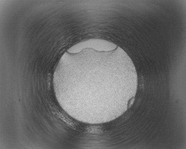 X0000085070664200703261233