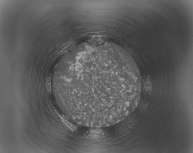 X0000085070666200703261233