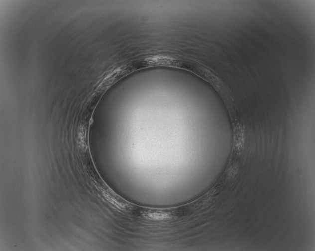 X0000085070669200703261233