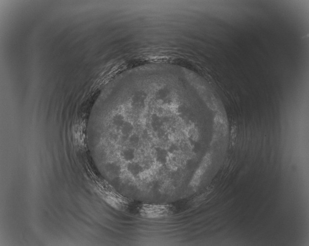 X0000085070671200703261233