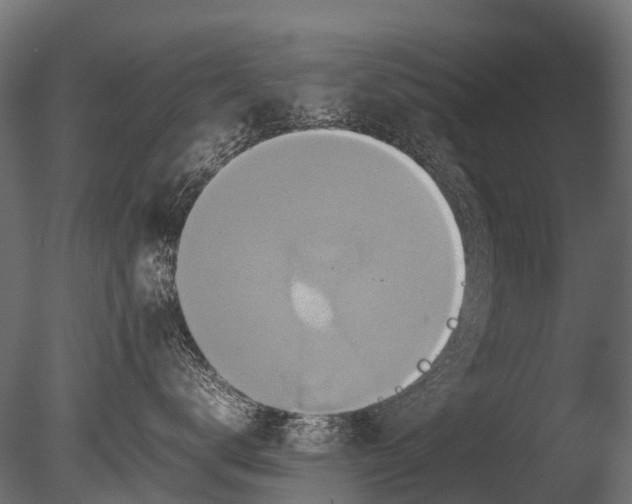 X0000085070672200703261233