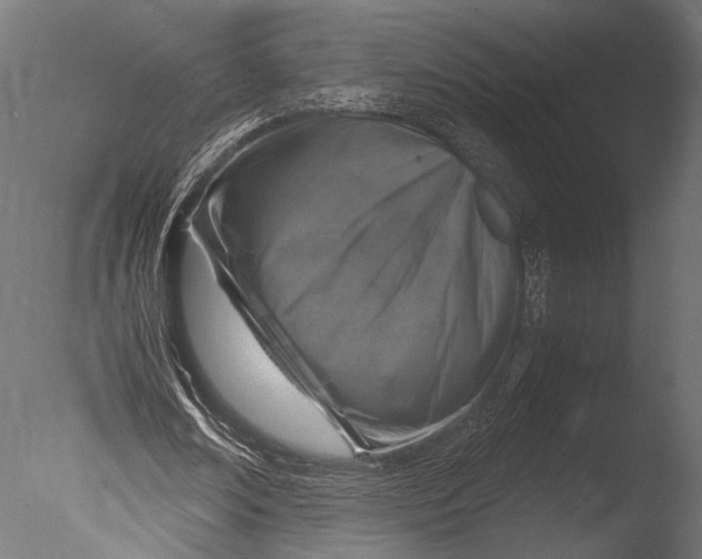 X0000085070674200703261232