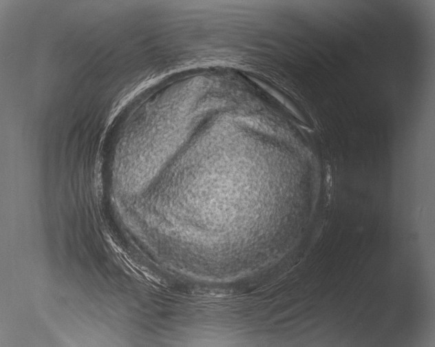 X0000085070676200703261232