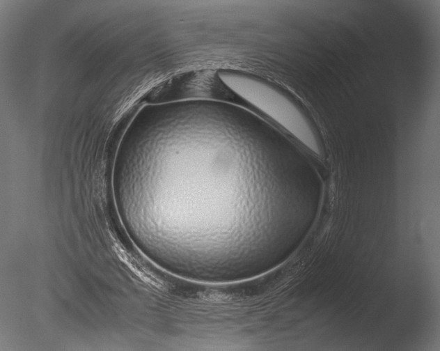 X0000085070677200703261232