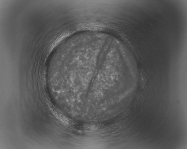 X0000085070679200703261232