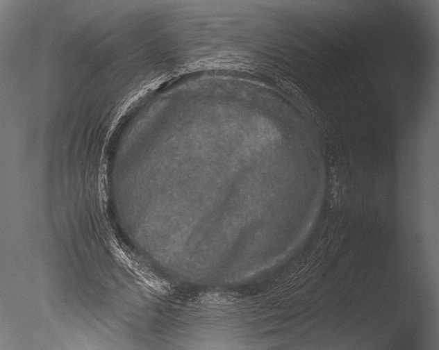 X0000085070680200703261232