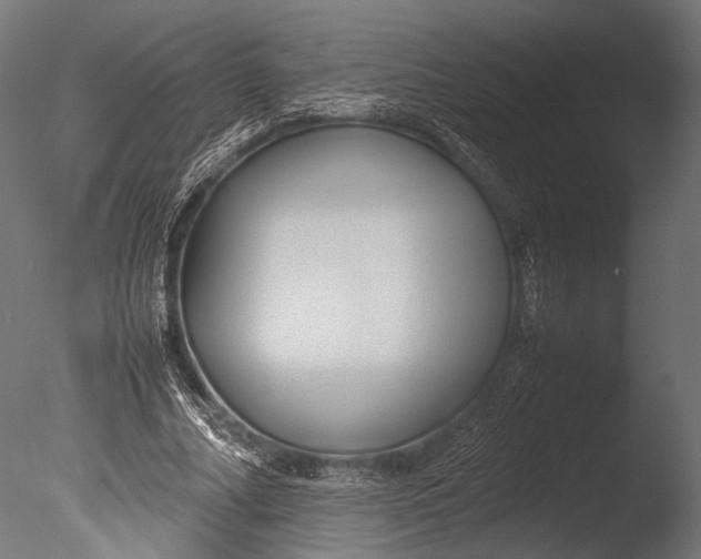 X0000085070682200703261232