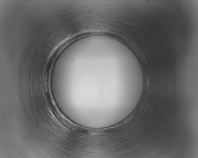 X0000085070684200703261232