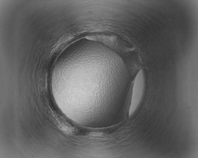 X0000085070685200703261232