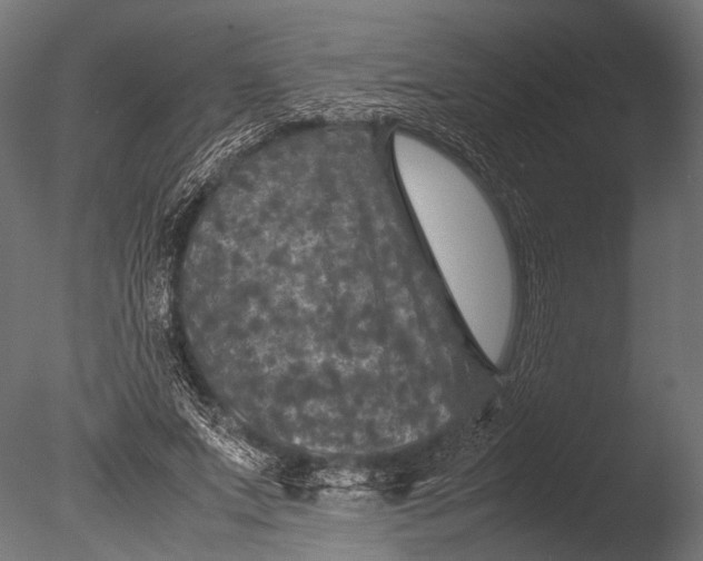 X0000085070687200703261232