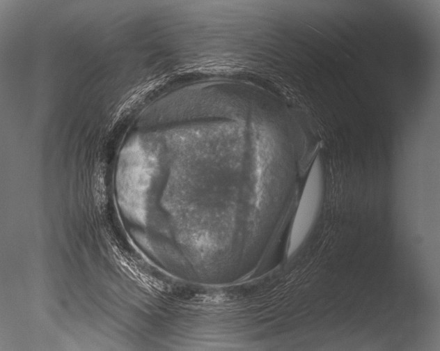 X0000085070688200703261232