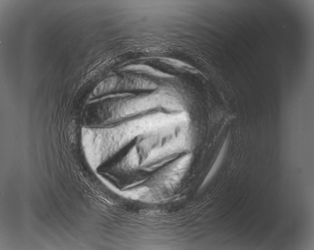 X0000085070689200703261232