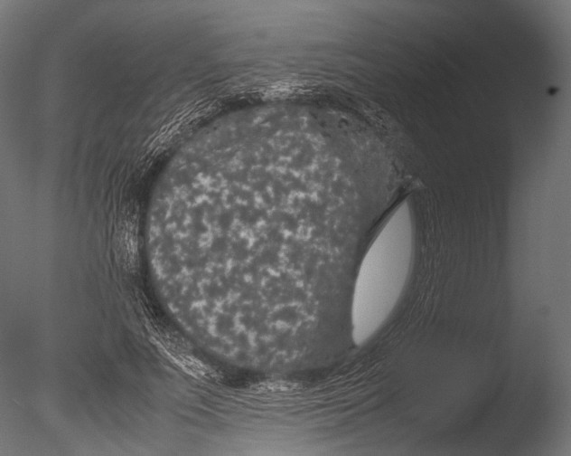 X0000085070691200703261232