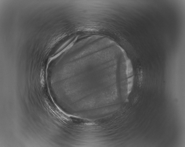 X0000085070692200703261232