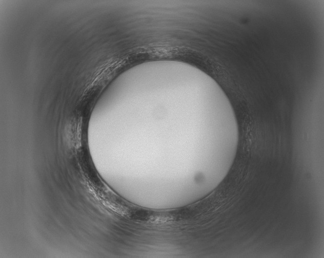 X0000085070694200703261232