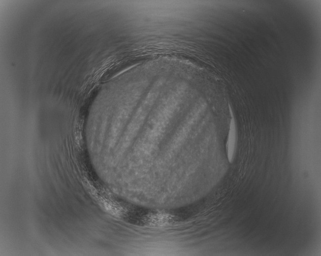 X0000085070695200703261232