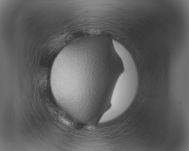 X0000085070697200703261232