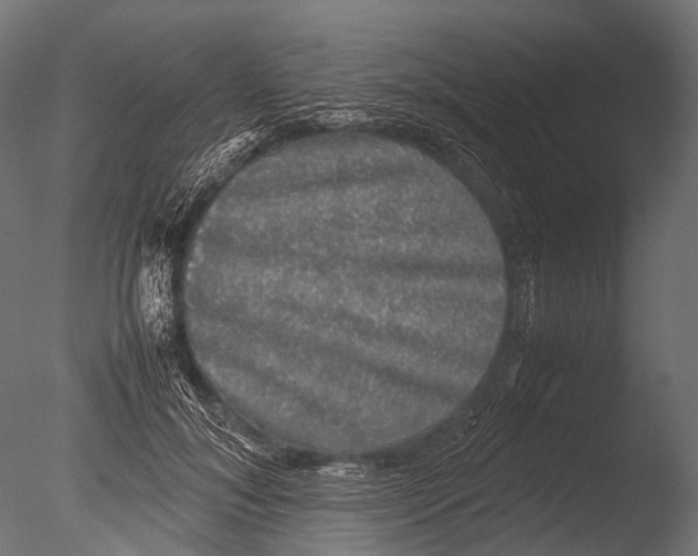 X0000085070700200703261232