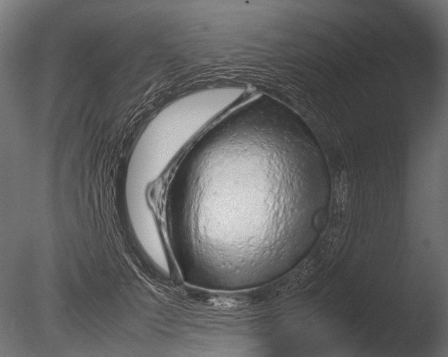 X0000085070703200703261232