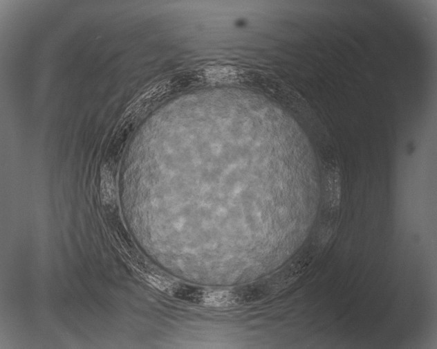 X0000085070705200703261232