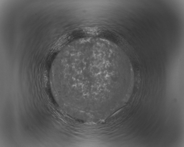 X0000085070707200703261232