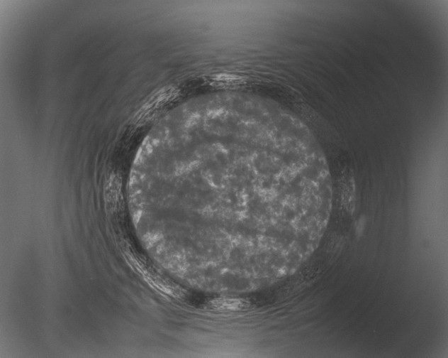 X0000085070711200703261231