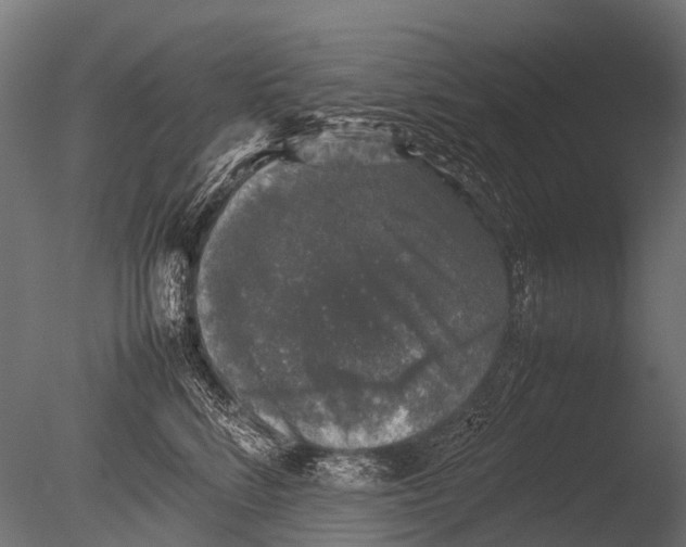 X0000085070712200703261231