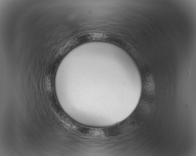 X0000085070715200703261231