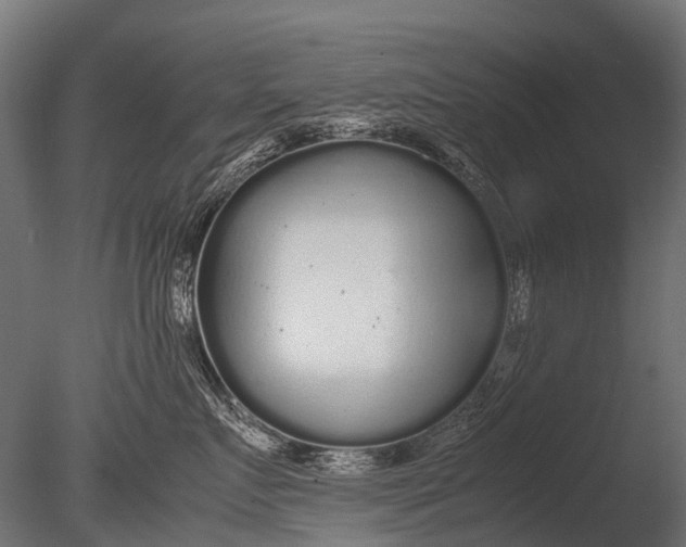 X0000085070719200703261231