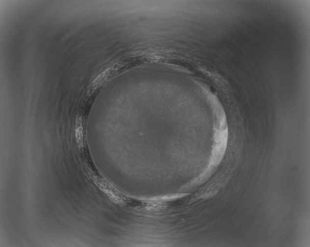 X0000085070720200703261231