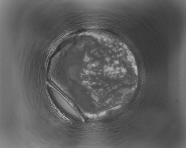 X0000085070721200703261230