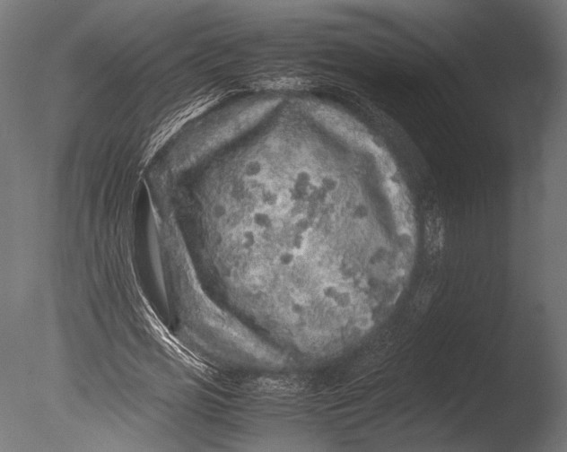 X0000085070725200703261231