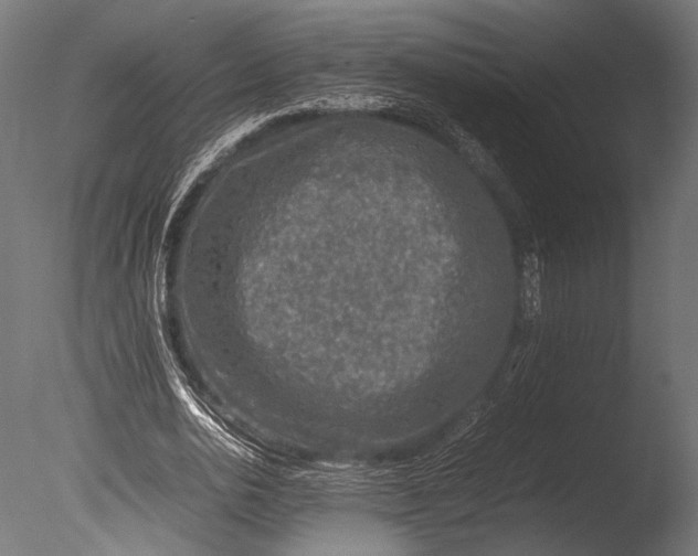 X0000085070726200703261231