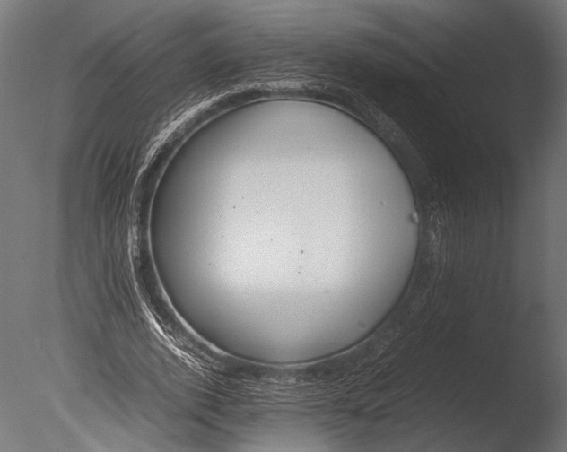 X0000085070728200703261231