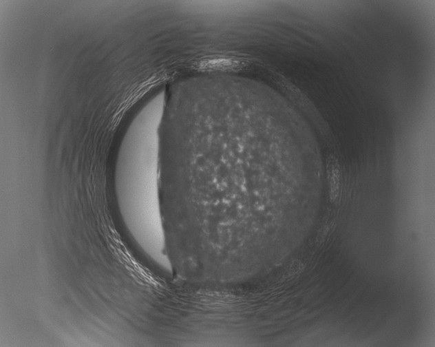 X0000085070729200703261231