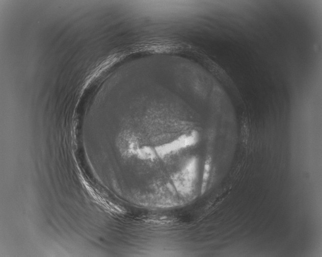 X0000085070730200703261231