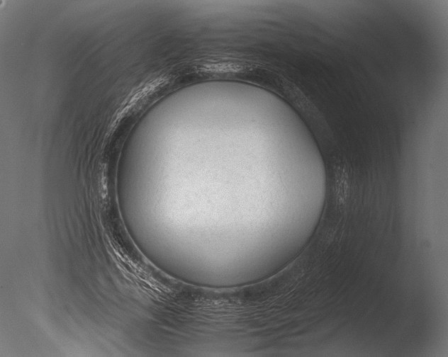 X0000085070731200703261231