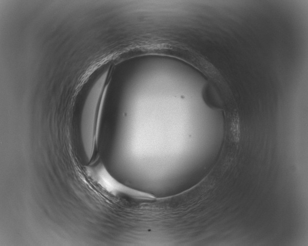 X0000085070732200703261231