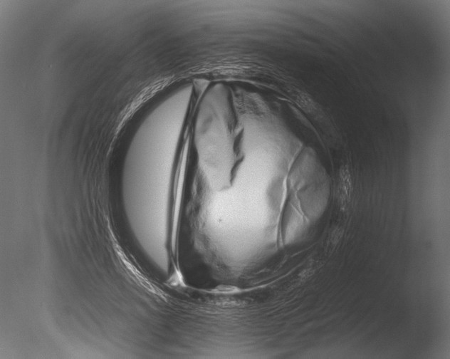 X0000085070734200703261231