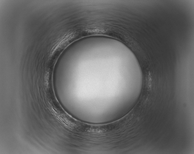 X0000085070735200703261231