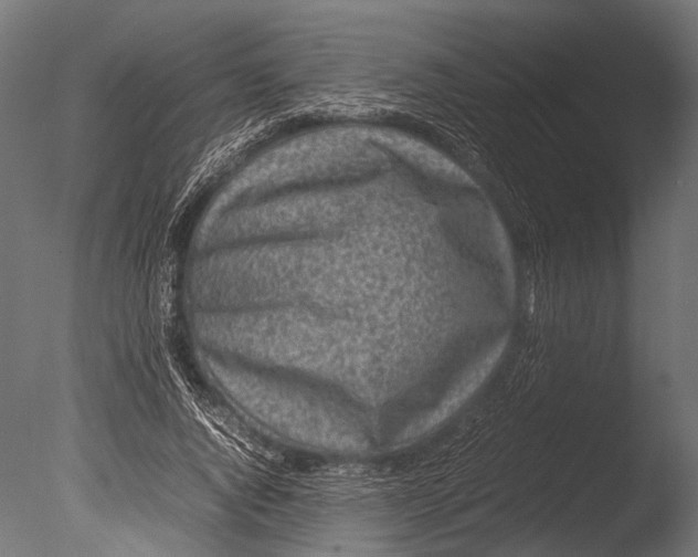 X0000085070736200703261231