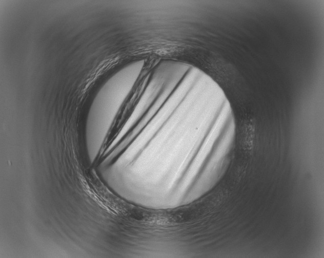 X0000085070738200703261231